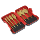 Titanium Coated Flat Wood Drill Bit Set 7pc