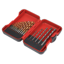 HSS/Masonry Drill Bit Set 17pc
