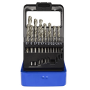 HSS Fully Ground Drill Bit Set 19pc