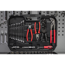 Mechanic's Tool Kit 100pc