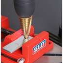 Drill Stand with Cast Iron Base 500mm & Vice 65mm
