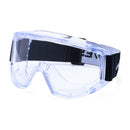 PW22 Challenger Goggles - Clear