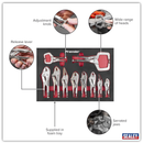 Premier Locking Pliers Set with Foam Tray 10pc