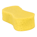 Large Sponge