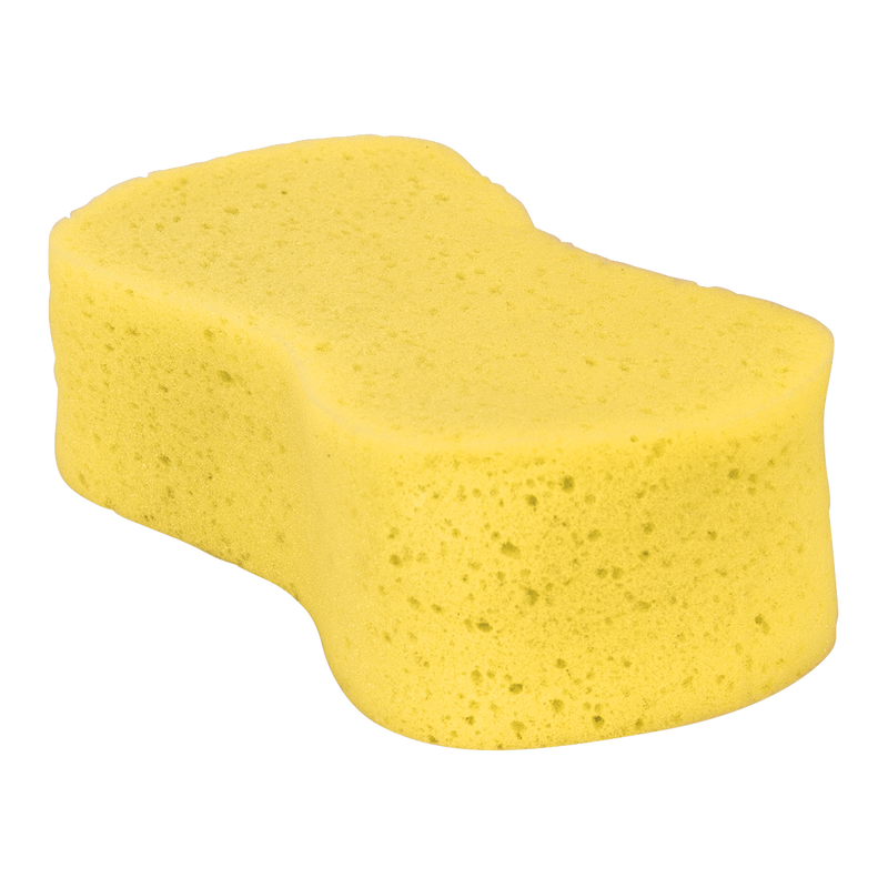 Large Sponge