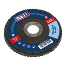 Flap Disc Zirconium Ø115mm Ø22mm Bore 40Grit
