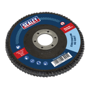 Flap Disc Zirconium Ø115mm Ø22mm Bore 60Grit