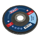 Flap Disc Zirconium Ø125mm Ø22mm Bore 40Grit