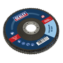 Flap Disc Zirconium Ø125mm Ø22mm Bore 60Grit
