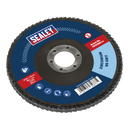 Flap Disc Zirconium Ø125mm Ø22mm Bore 80Grit