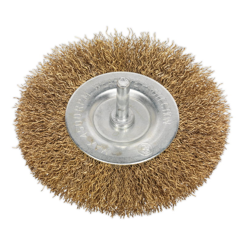 Flat Wire Brush Ø100mm with 6mm Shaft