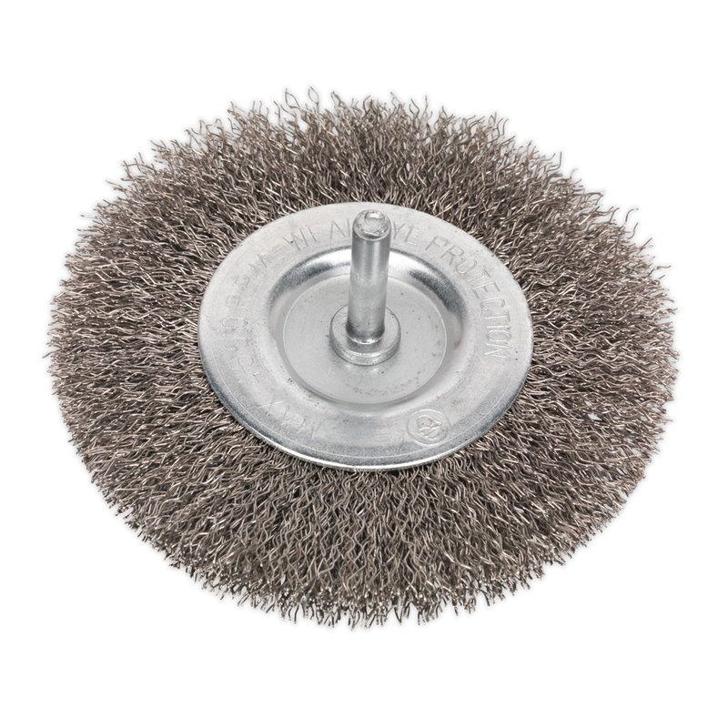Flat Wire Brush Stainless Steel 100mm with 6mm Shaft