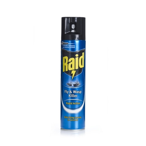 Raid Fly & Wasp Killer 300ml